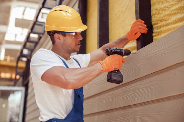 Best Custom Siding Design  in Bernie, MO