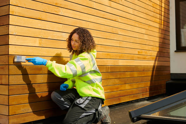Best Historical Building Siding Restoration  in Bernie, MO